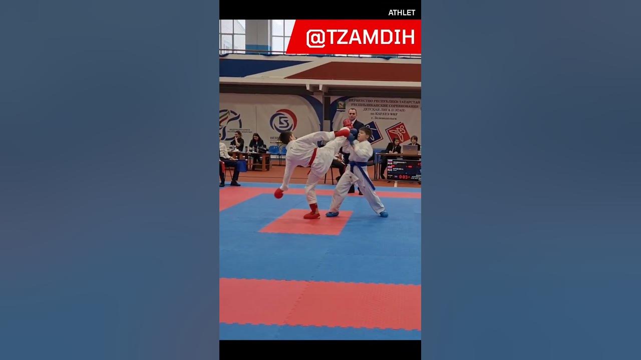 Финт ногой карате