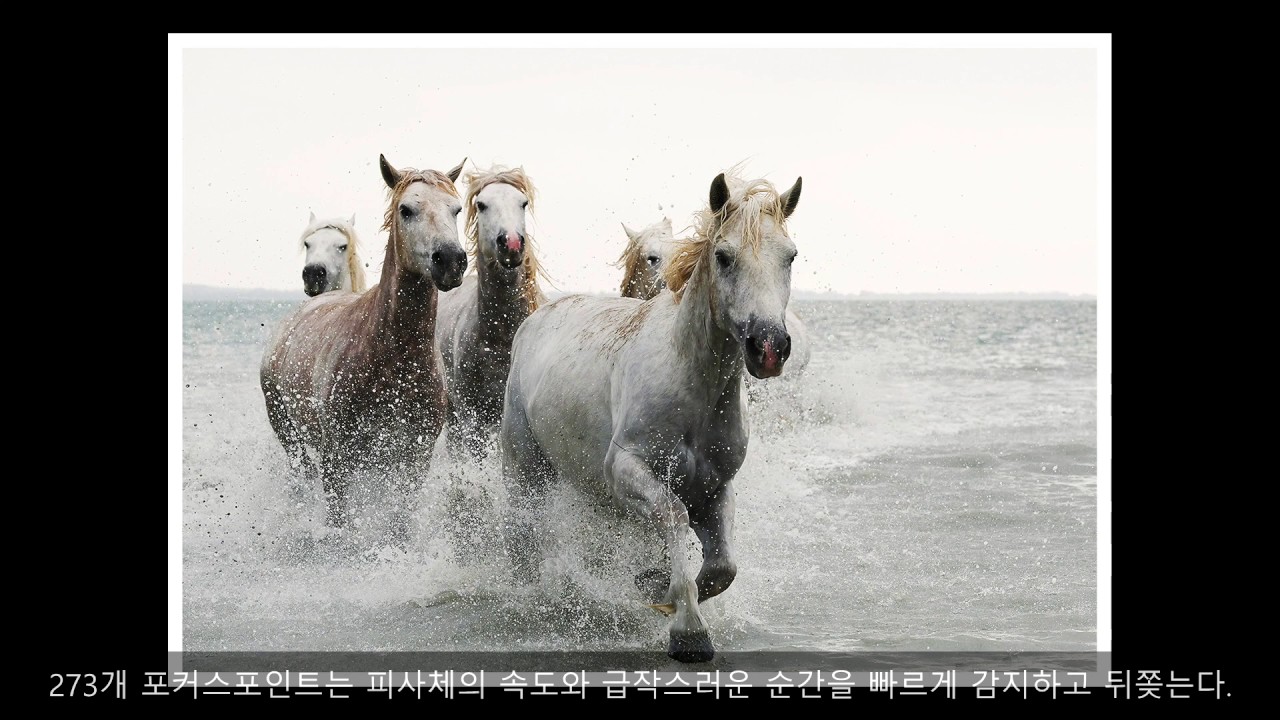 [FUJIFILM] X-T2 x Chris Weston