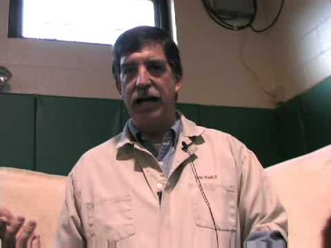 Video: Menular Equine Metritis (CEM) Pada Kuda