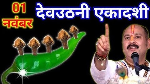 1 नवंबर देवउठनी एकादशी के दिन 5 लौंग मिर्च में गाड़ देना वाला उपाय जरुर करे || Pradeep Ji Mishra 