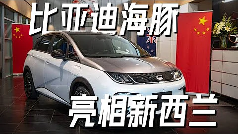 比亞迪最新款海豚登陸新西蘭！或為最便宜電動車【新西蘭新聞快報】《33 Bulletin》| 新西蘭33中文台 - 天天要聞