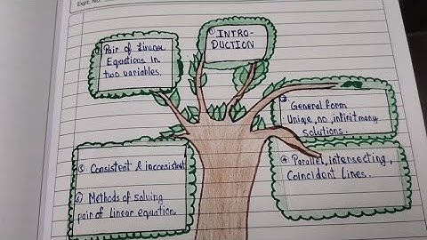 Pair of Linear equation in Two Variable class 10 project file...#mathematics