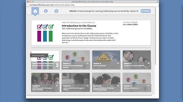Using the courseware