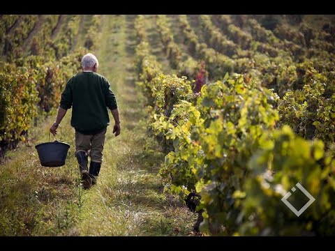 სოფლის მეურნეობის ანტიკრიზისული გეგმა - შეფასებები
