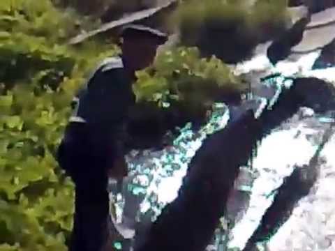 Видео Квардал