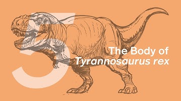 Wilson the Tyrannosaurus rex 5: Body | Learn to Draw Dinosaurs with ZHAO Chuang