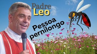PESSOA PERNILONGO | SEMANA PADRE LEO