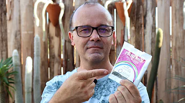 Como acabar com nematoides nas suculentas?