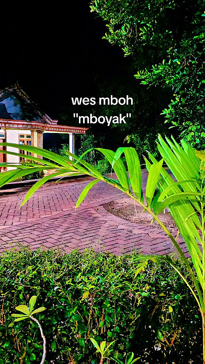 wes mboh#shortvideo #storywa #katakata #jowostory #masukberanda #fyp