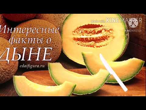 Польза дыни. Интересные факты. История дыни. Доктор веган сыроед Мирсаяпова Анна.
