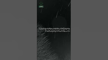 سورة النمل • مكية • بصوت ياسر الدوسري | عدد الآيات: 93 #قرآن #Quran #تلاوة #قرآن_كريم #النمل