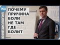 Почему причина боли не там где болит? Обучение кинезиологии. Германия