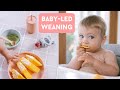 First week of Baby-Led Weaning // STARTING SOLIDS