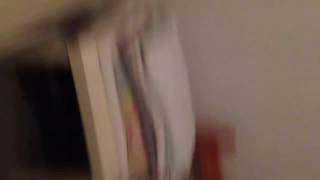 Mannequin challenge