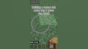 Building a house but every day I place one block day 1 #dailyshorts