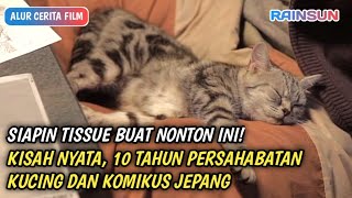 FILEM KUCING PALING SEDIH!! || ALUR CERITA KIMI TO BOKU #RAINSTORY