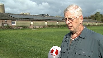 Ophokplicht pluimvee Salland vanwege vogelgriep: "Je moet nu geen gekkigheid uithalen"