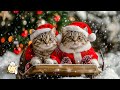 247 extreme relaxation music for restless cats  christmas music for cats christmas ambience