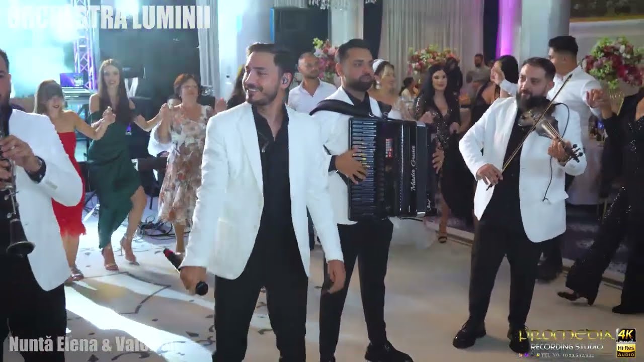 DAVID CONSTANTIN SI ORCHESTRA LUMINII - COLAJ HORE DE JOC - NUNTĂ ELENA & VALENTIN - NOU-