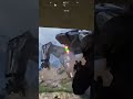 Matriarch Loot! | #fox_named_sailor on #Twitch
