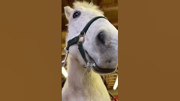 Rate my new intro out of 10! 💗 #capcut #goviral