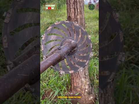 Amazing Tree Cutting Brushcutter Attachment