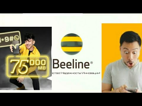 Video: Kaip Sužinoti „Beeline“skambučių Detales