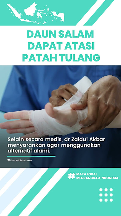 Fakta Daun Salam Dapat Atasi Patah Tulang akibat Kecelakaan, Begini Penjelasan dr Zaidul Akbar