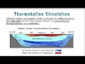 Ocean Currents and Their Impact on Climate and Marine Life