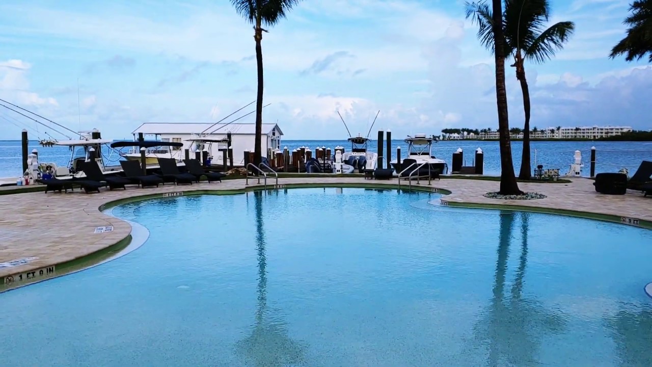 Salty Quicky #228 | Saltwater Pool at Marathon Marina in the Florida Keys