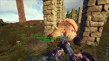 ARK--THE CENTER E5- DIREBEAR TAMING WITH A PILLAR TRAP