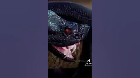 اغنية كمي وان كمي ومي 