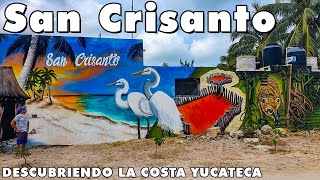 SAN CRISANTO YUCATÁN 🔥 Flamencos, Cenote, Playas, Comida y mucho mas 😍
