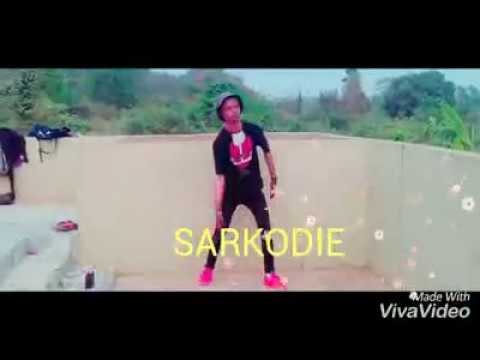  Sarkodie - Wolrais (Official Video Dance) By Scott Snitch