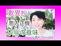 仏教の教え215回歎異抄　悪人正機の本当の意味　悪人とは誰のことでしょうbyキミちゃんねる
