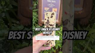 Best Snack at Disney’s Animal Kingdom 👀🍪