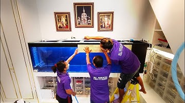 Prince เยาวราช - Project ใหม่ตู้ปลา 108 24 30 (นิศาชล) กรองข้าง O4FS จัดเต็มทุกอุปกรณ์ Set 1