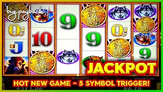 JACKPOT HANDPAY! Buffalo Gold Max Power Slot - 5 SYMBOL TRIGGER!