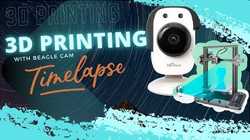 How To 3D Printer Time Lapse with Mintion Beagle Camera