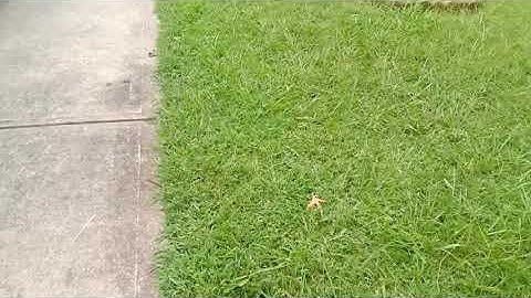 3rd Gen K5LA From My Neighborhood🏘️+Prime Mover Noises