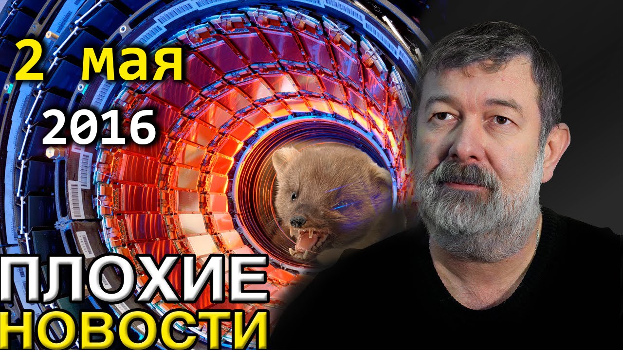 Вячеслав Мальцев | Плохие новости | Артподготовка | 2 мая 2016 - YouTube