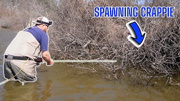 MY FAVORITE CRAPPIE FISHING TECHNIQUE TO CATCH SPAWNING CRAPPIE IN 2025‼️
