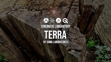 Terra by Soma Laboratories