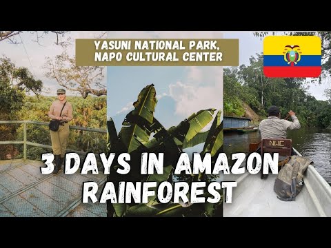 3 DAYS IN THE AMAZON RAINFOREST | YASUNI NATIONAL PARK | NAPO CULTURAL CENTER LODGE, ECUADOR