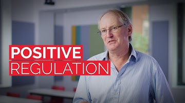 Positive Regulation | LSE Executive Education