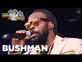 Bushman Live @ Reggae Geel Festival Belgium 2019