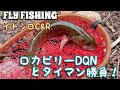 【フライフィッシング】ロカビリーDQNとタイマン勝負！　イトシロC&R