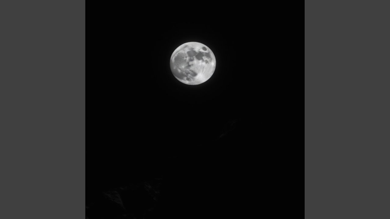 ACID IN THE MOONSHINE