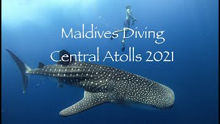 Maldives Diving - Central Atolls (2021)