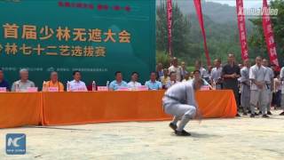72 arts of Shaolin: Eagle Kung Fu